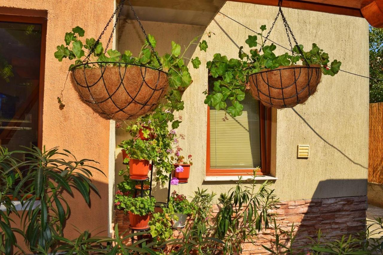 Tatyana Guest House Byala  Buitenkant foto